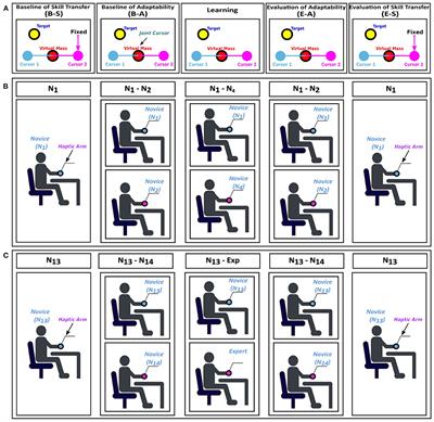 Mutual Skill Learning and Adaptability to Others via Haptic Interaction